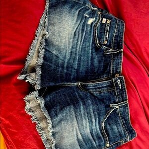 AG Adriano Goldschmied Denim Shorts